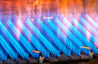Waterdale gas fired boilers